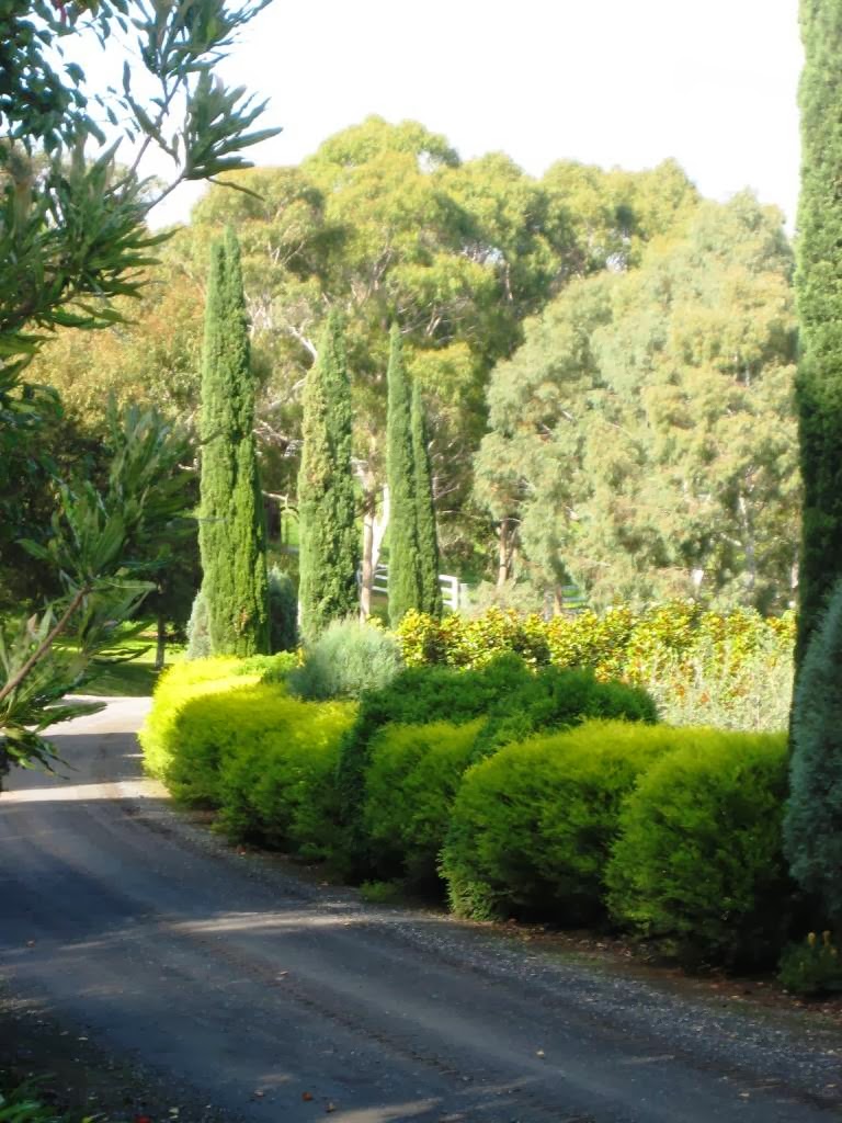 Speciality Trees |  | 1060 Wellington Rd, Narre Warren East VIC 3804, Australia | 0395542000 OR +61 3 9554 2000