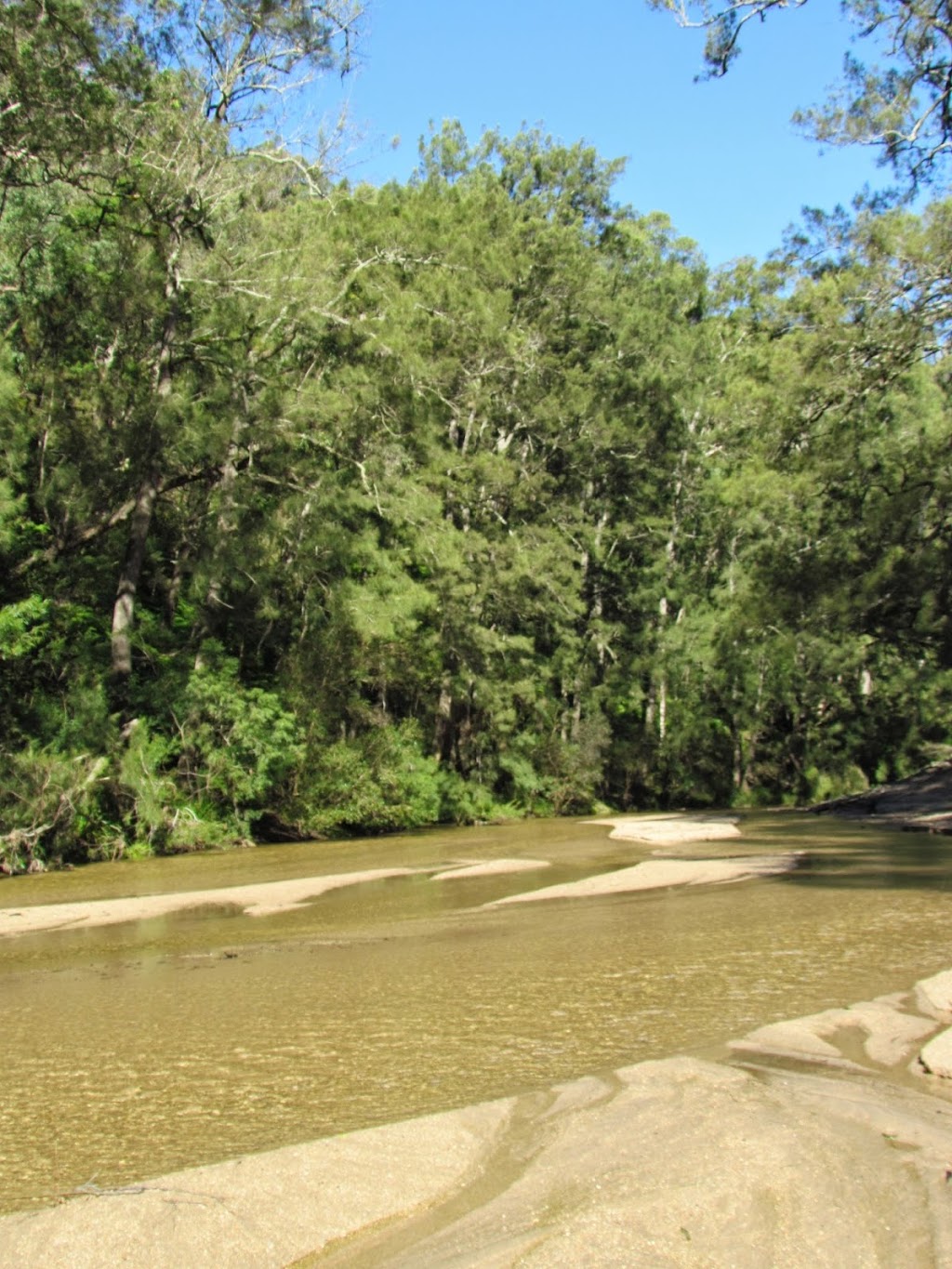 Provincial Plants and Landscapes | Myrtle Gully Rd, Yowrie NSW 2550, Australia | Phone: (02) 6262 6456