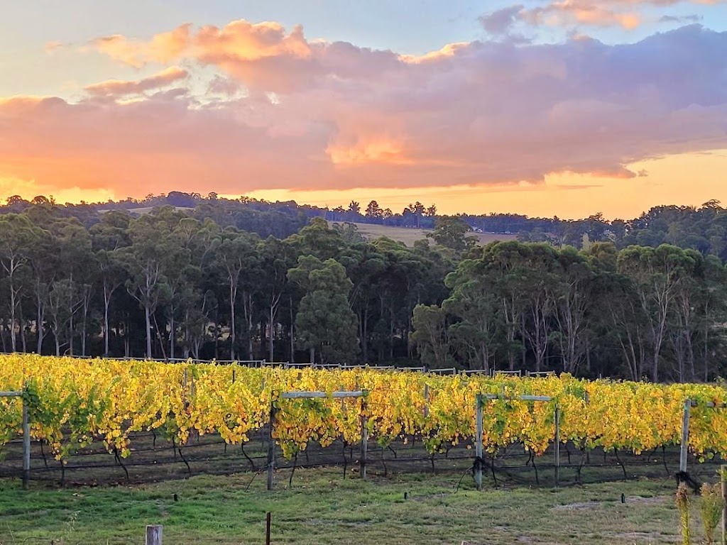 Winter Brook Vineyard | 150 Hjorts Rd, Loira TAS 7275, Australia | Phone: 0457 429 432