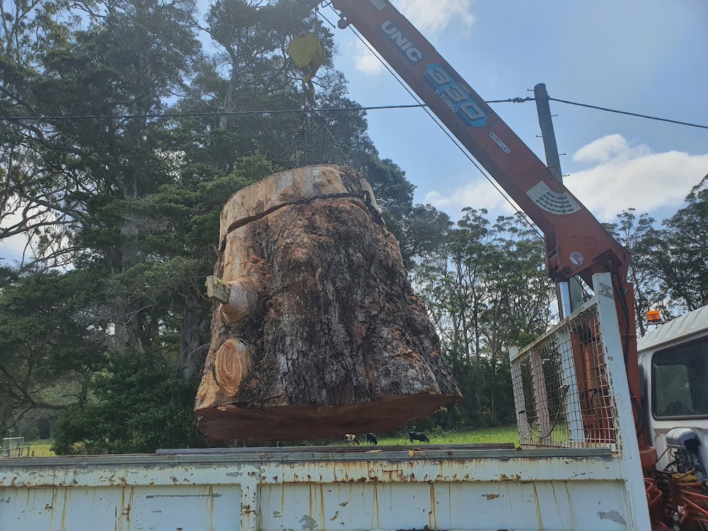 Proactive Arbor | 16 Mimosa Rd, Budgewoi NSW 2262, Australia | Phone: 0400 736 614