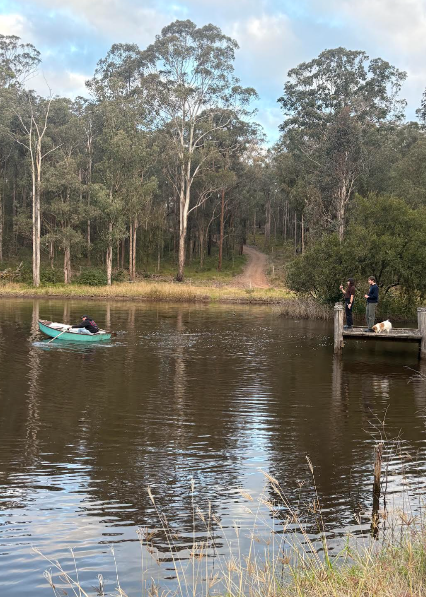 Fruit Dove Cottage | Church House Rd, Perseverance QLD 4352, Australia | Phone: 0418 701 940