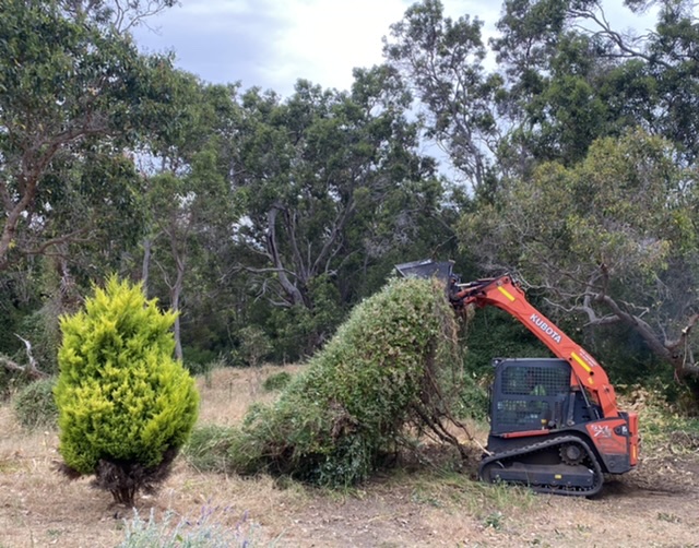 Bush Tamers Land Maintenance | 58 Wrigglesworth Dr, Cowaramup WA 6284, Australia | Phone: 0428 654 128