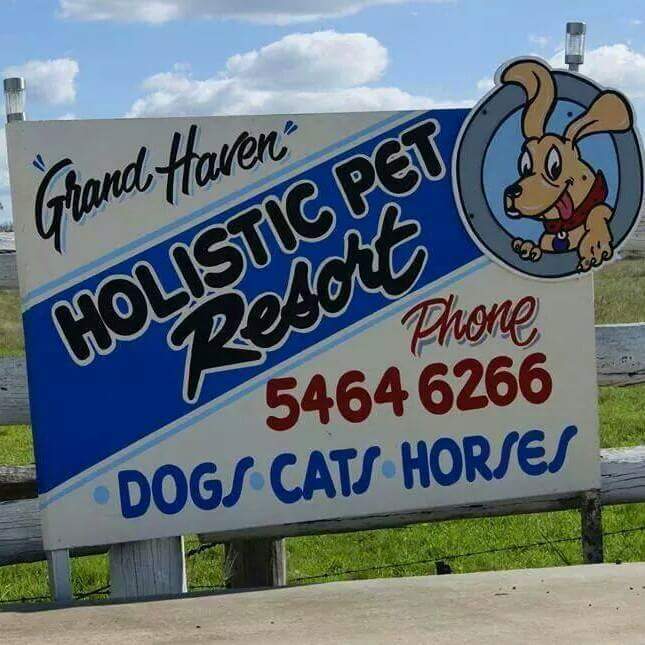 Grand Haven Pet Resort | lodging | 3974 Cunningham Hwy, Mutdapilly QLD 4307, Australia | 0754646266 OR +61 7 5464 6266