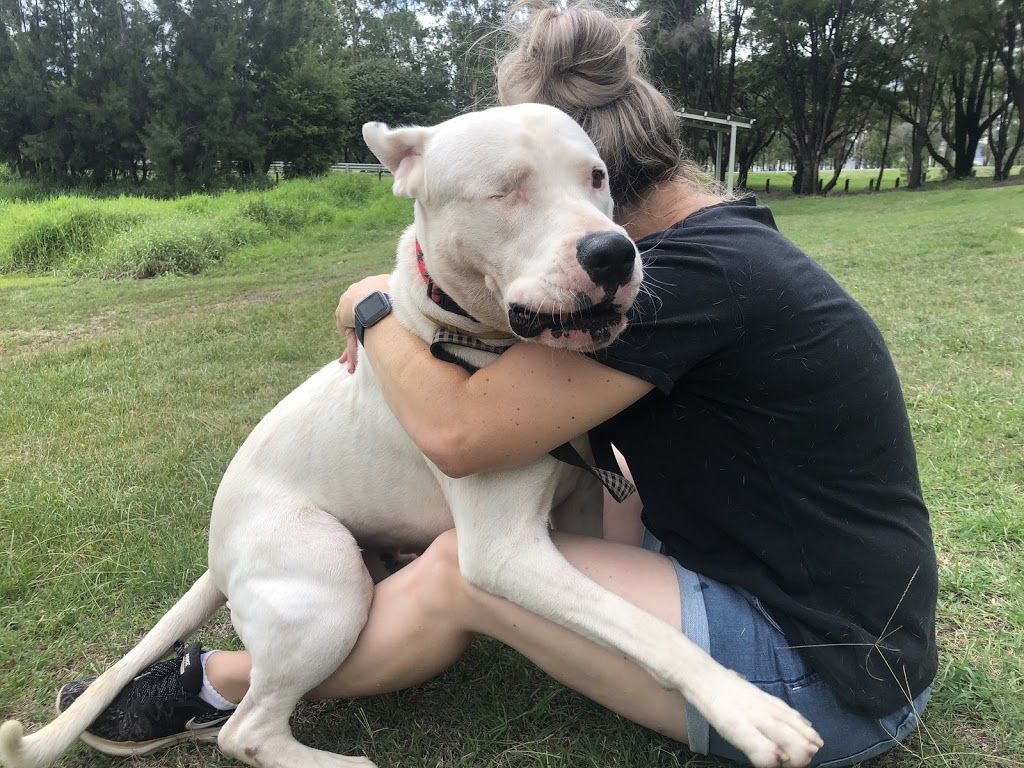 Brave Companion Dog Rescue Inc | 2107 Rosewood-Laidley Rd, Laidley QLD 4341, Australia | Phone: 0419 731 459