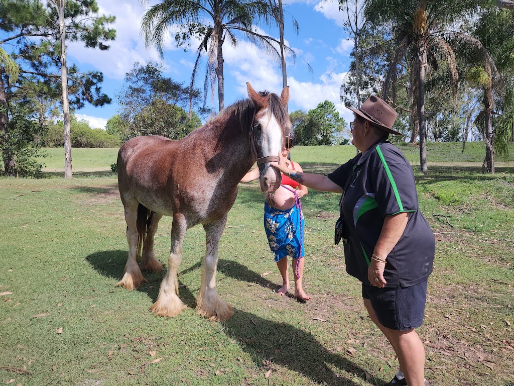 Esk Ponds Getaway Camping | 3709 Gatton Esk Rd, Esk QLD 4312, Australia | Phone: 0415 745 747