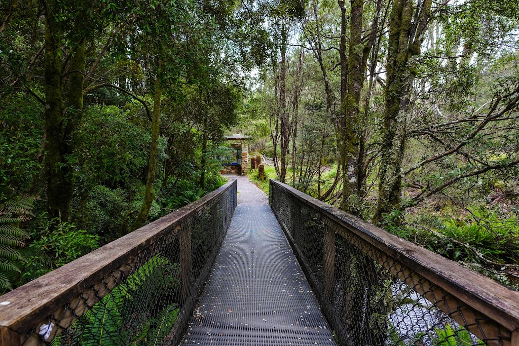 Nelson Falls | tourist attraction | Lyell Hwy, Queenstown TAS 7001, Australia | 1300827727 OR +61 1300 827 727