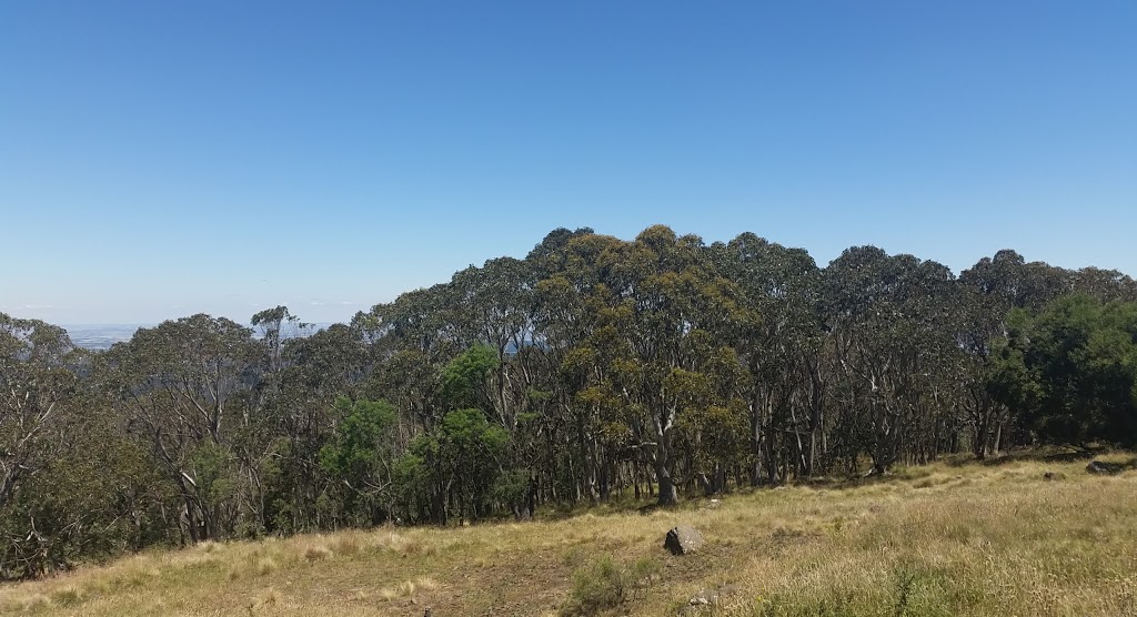 Mount Canobolas State Recreation Area | Canobolas NSW 2800, Australia