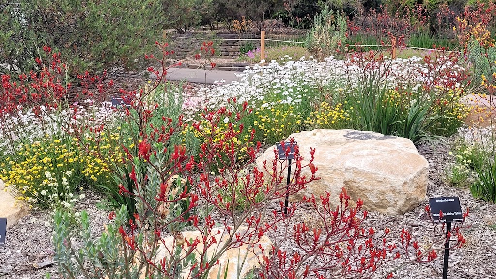 Australian Botanic Garden Mount Annan parkrun | Mount Annan NSW 2567, Australia | Phone: (02) 4631 4200