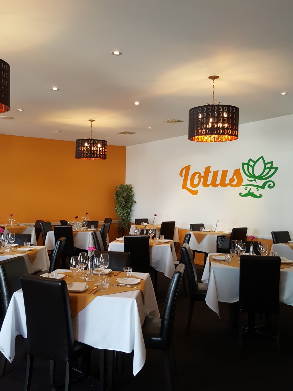 Lotus Cuisine of India (25 Gribble St) Opening Hours