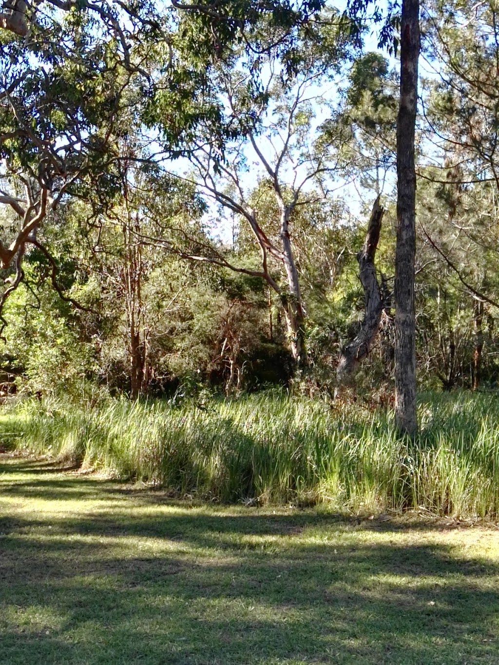 Apex Park | park | 2 Avignon St, Bateau Bay NSW 2261, Australia