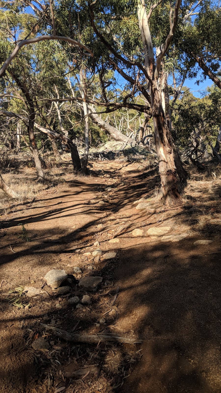 Mt Beckworth Summit | gym | Southern Ridge Track, Mount Beckworth VIC 3363, Australia