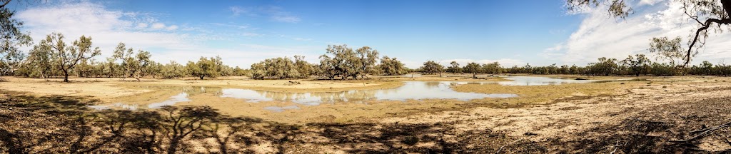 Naree Station | 14068 Dowling Track, Yantabulla NSW 2840, Australia | Phone: 1300 628 873