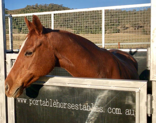 41++ Portable stables tamworth info