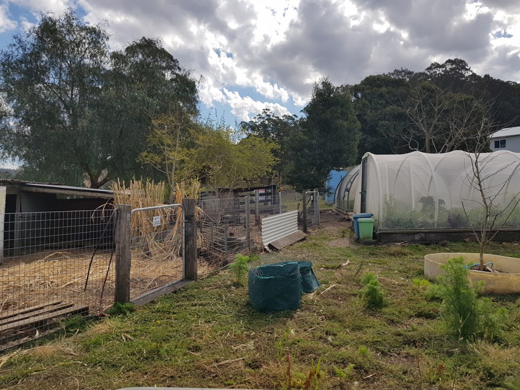 Limestone Permaculture |  | 846 The Bucketts Way, Stroud Road NSW 2415, Australia | 0488493411 OR +61 488 493 411