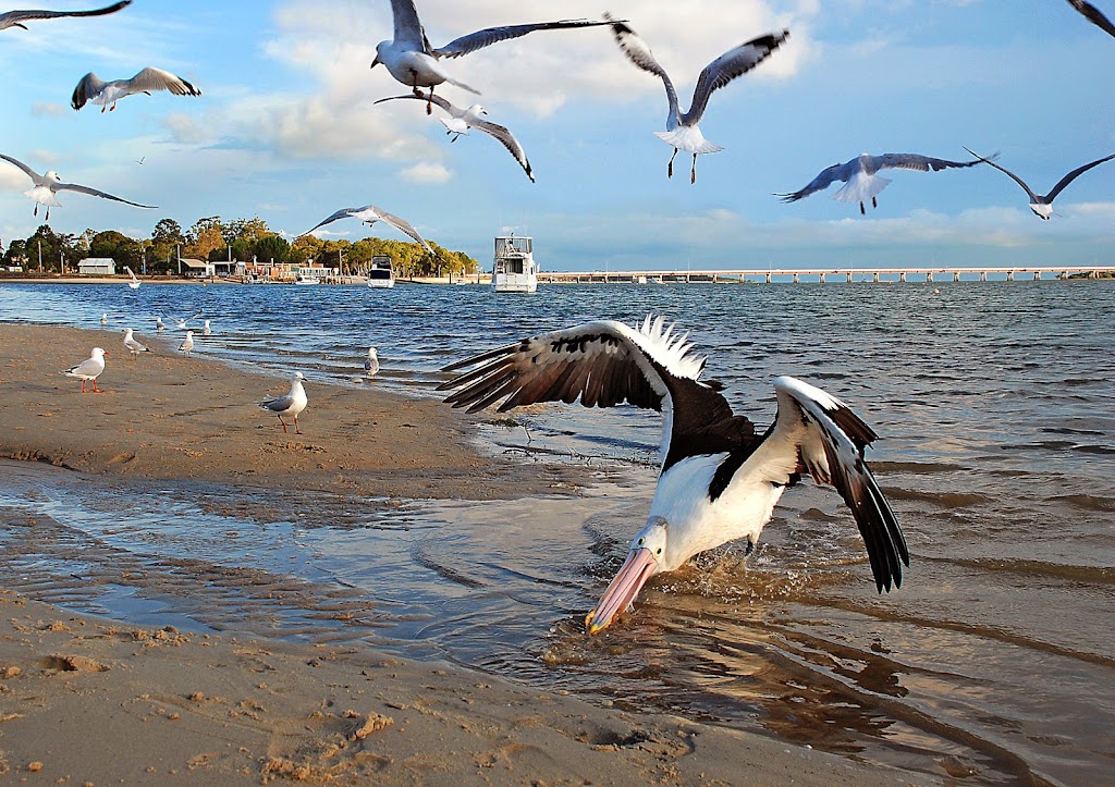 VMR Bribie Island | 4 Marine Parade, Bellara QLD 4507, Australia | Phone: (07) 3408 7596