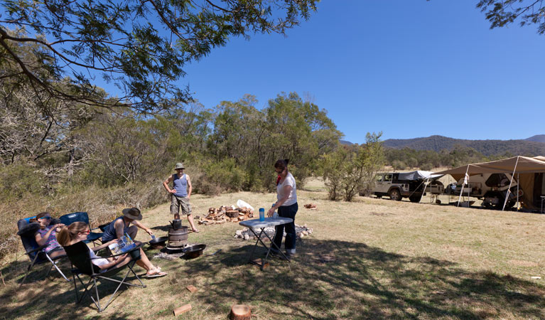 Bendethera Valley campground | Bendethera Camp Trail, Deua NSW 2537, Australia | Phone: (02) 4476 0800