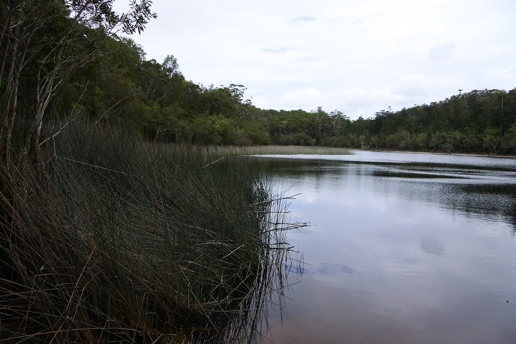 Lake Allom | park | Fraser Island QLD 4581, Australia