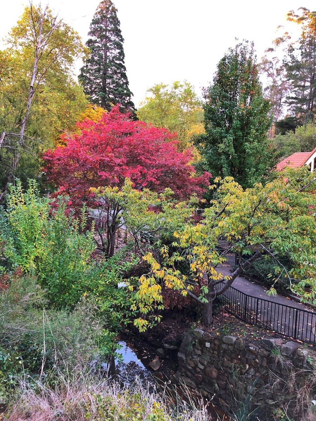 Hepburn Bathhouse & Spa | spa | Mineral Springs Reserve Rd, Hepburn Springs VIC 3461, Australia | 0353216000 OR +61 3 5321 6000