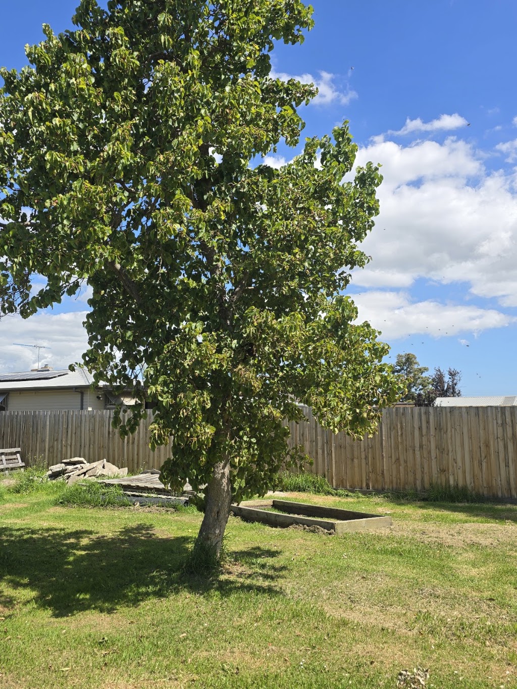 Wattletree Beekeeping | 4 Railway Ave, Bunyip VIC 3815, Australia | Phone: 0413 232 697
