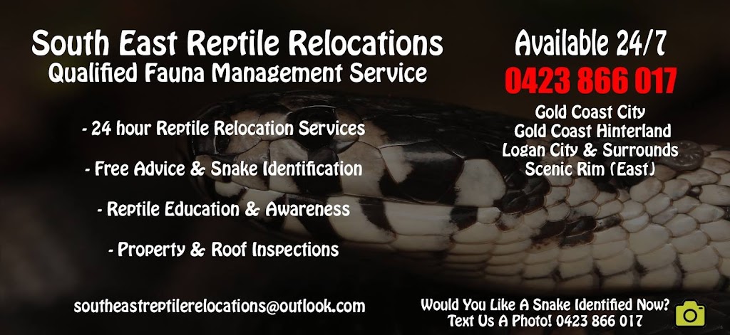 South East Reptile Relocations |  | 27 Hazel Ct, Arundel QLD 4214, Australia | 0423866017 OR +61 423 866 017