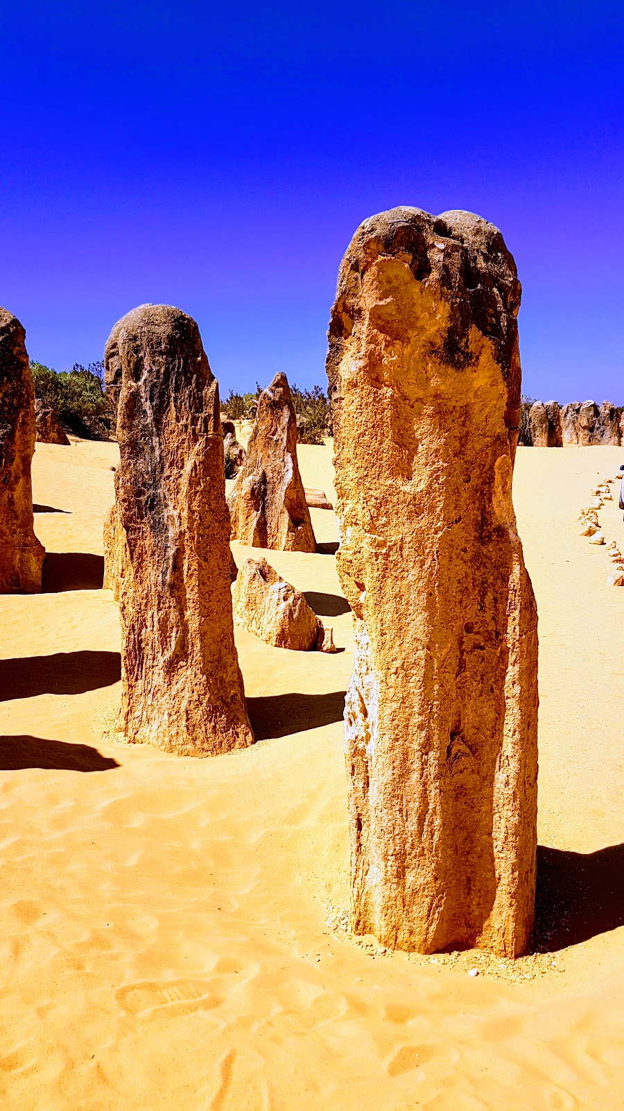 Pinnacles Desert Discovery Centre | travel agency | Nambung WA 6521, Australia | 0896527913 OR +61 8 9652 7913