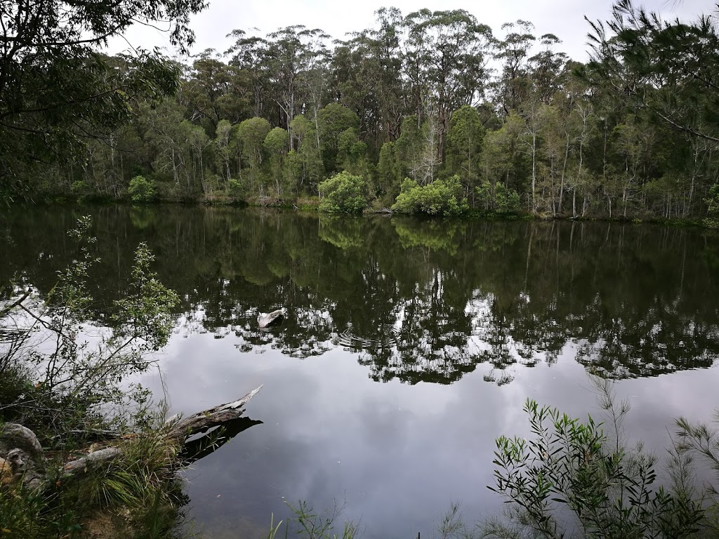 Wallingat National Park | Wallingat NSW 2428, Australia