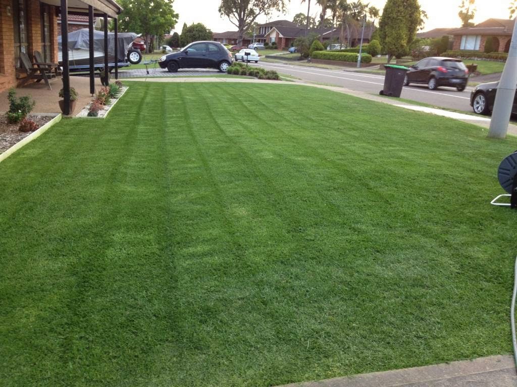 Olsens Lawn and Garden Care | 1 Endeavour Ave, St Clair NSW 2330, Australia | Phone: 0424 000 000