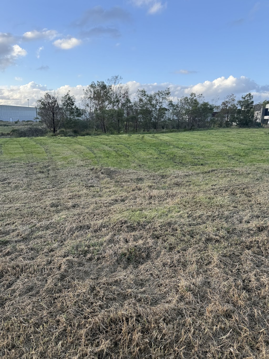 Apex Landworks | 15 Amberly Dr, Drouin VIC 3818, Australia | Phone: 0412 048 297