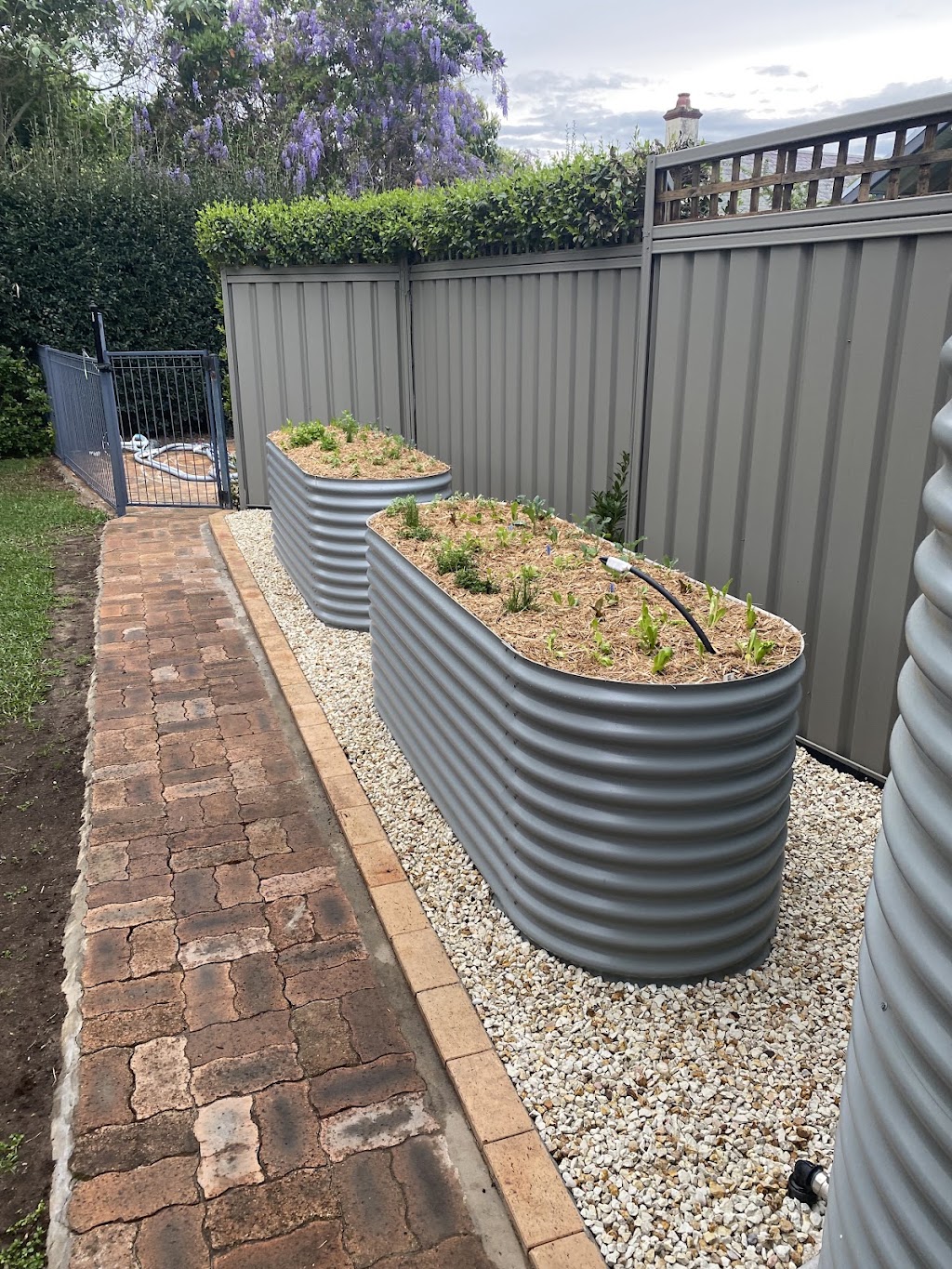 Fluro Gardens | 40 Queen St, Lorn NSW 2320, Australia | Phone: 0494 372 117