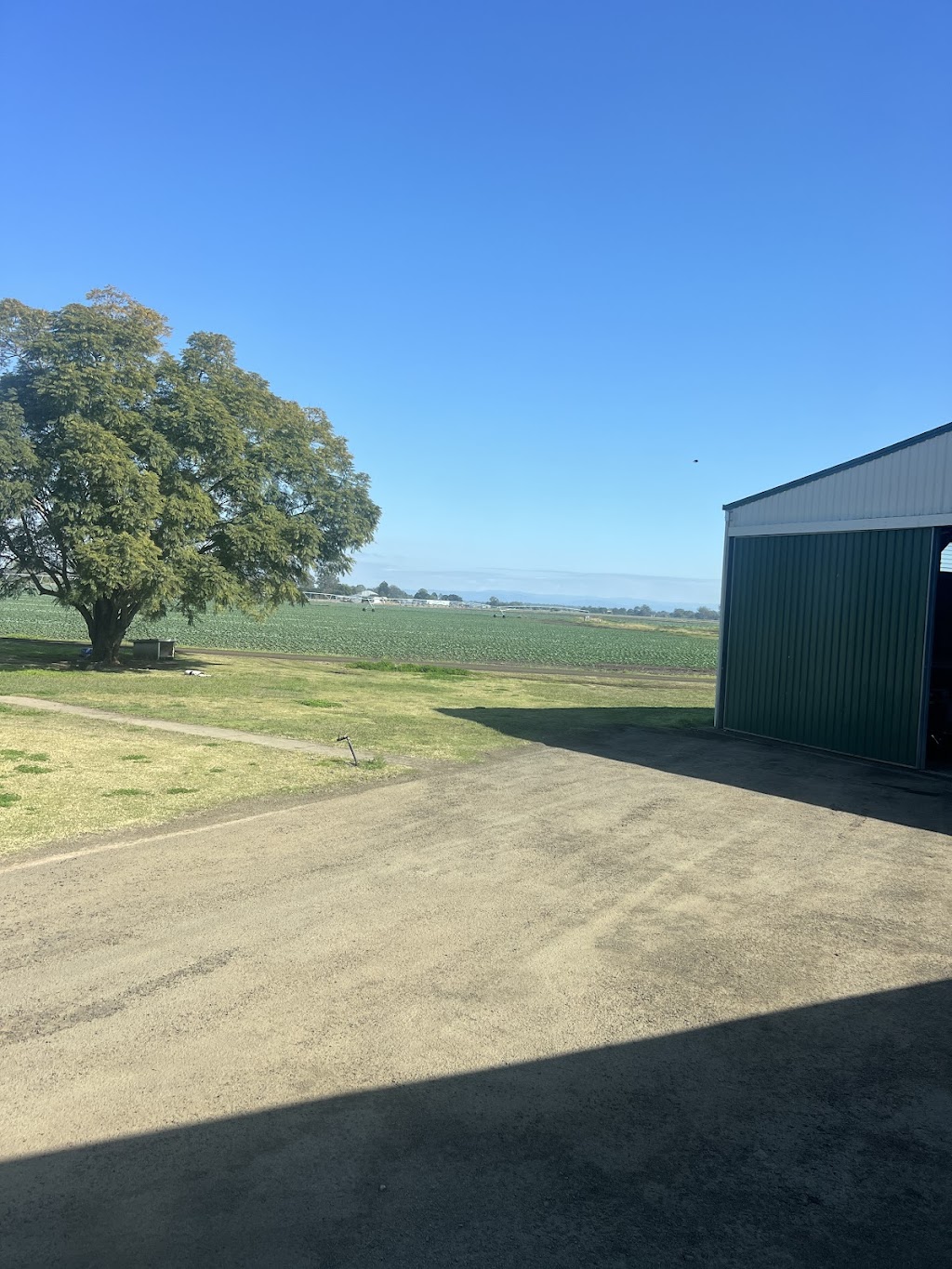 Jackwitz Farms Australia | 568 Clarendon Rd, Lowood QLD 4311, Australia | Phone: (07) 5427 9885