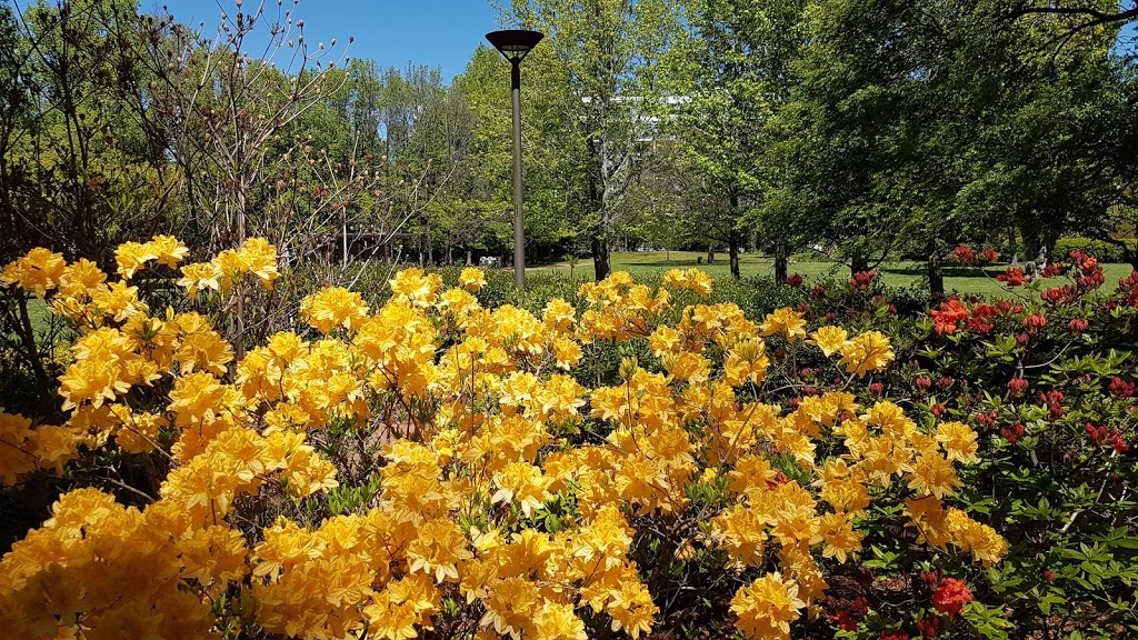 Glebe Park | park | Canberra ACT 2601, Australia