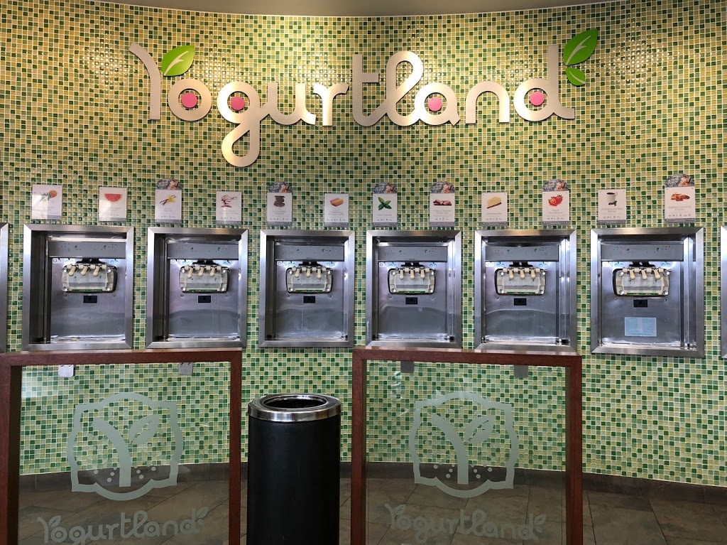 Yogurtland Harbour Town | Harbour Town, B1C/147-189 Brisbane Rd, Biggera Waters QLD 4216, Australia | Phone: (07) 5529 1540