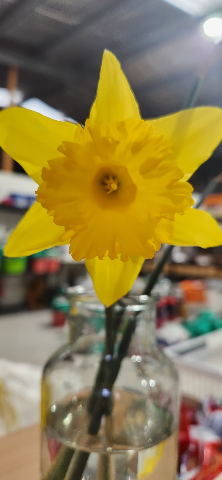 Jos Complete Clean | 14 Crawford St, Jindabyne NSW 2627, Australia | Phone: 0400 215 694