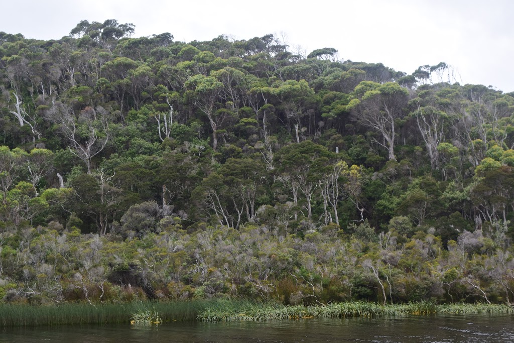 Warra Creek Forest Reserve | park | Togari TAS 7330, Australia