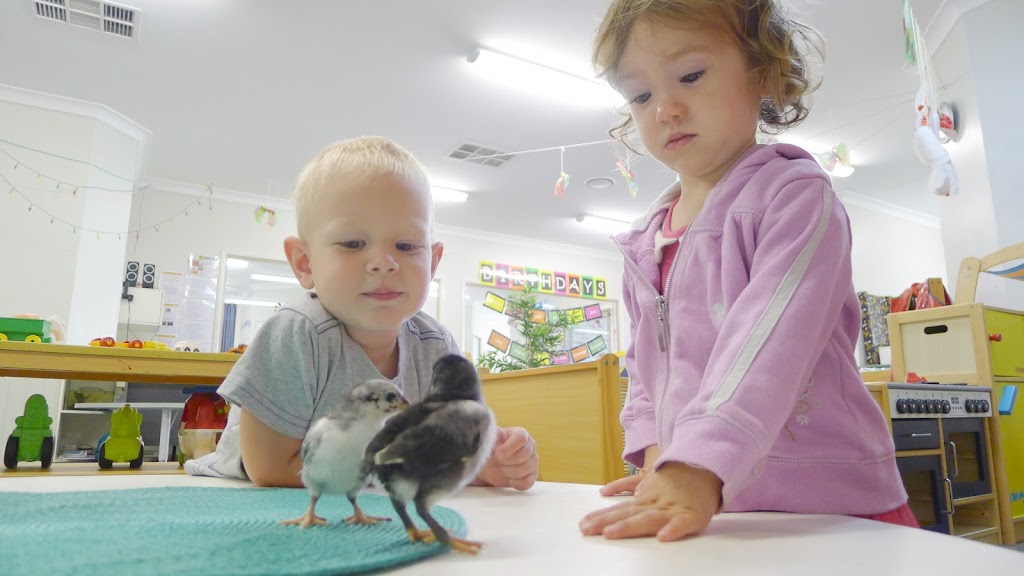 Kids Club Child Care Wilsonton Heights Centre | 26 High Ct Dr, Wilsonton Heights QLD 4350, Australia | Phone: (07) 4633 7470