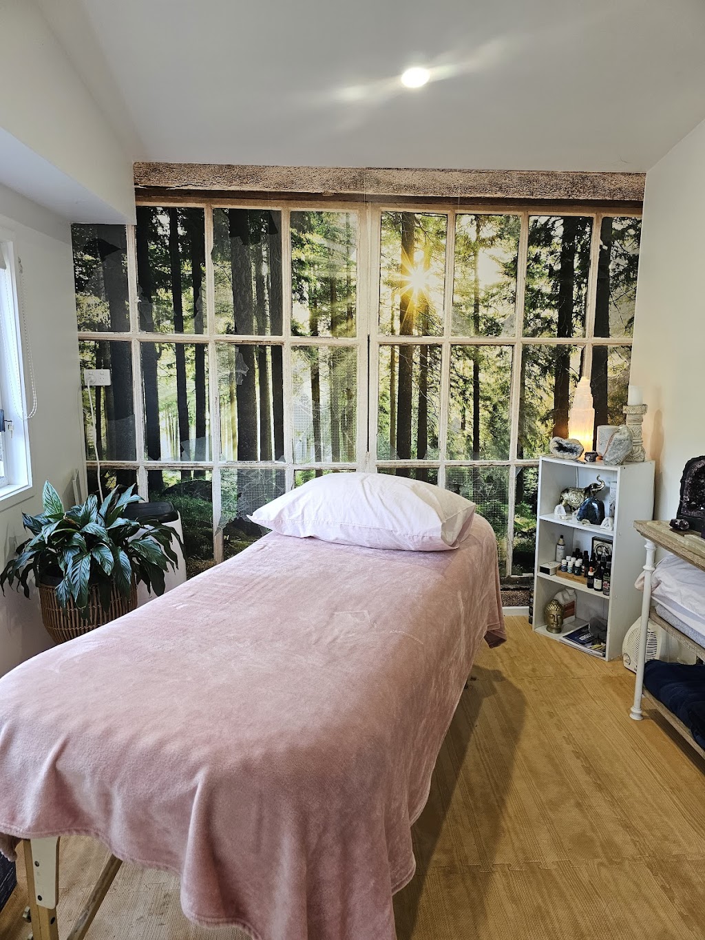 Crystal Craniosacral | 156-160 Bluff Rd, Cedar Vale QLD 4285, Australia | Phone: 0419 287 509