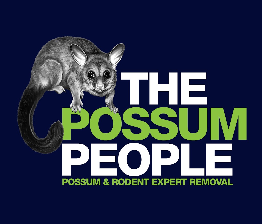 The Possum People | home goods store | 44 Kintyre Cres, Banora Point NSW 2486, Australia | 0417022207 OR +61 417 022 207
