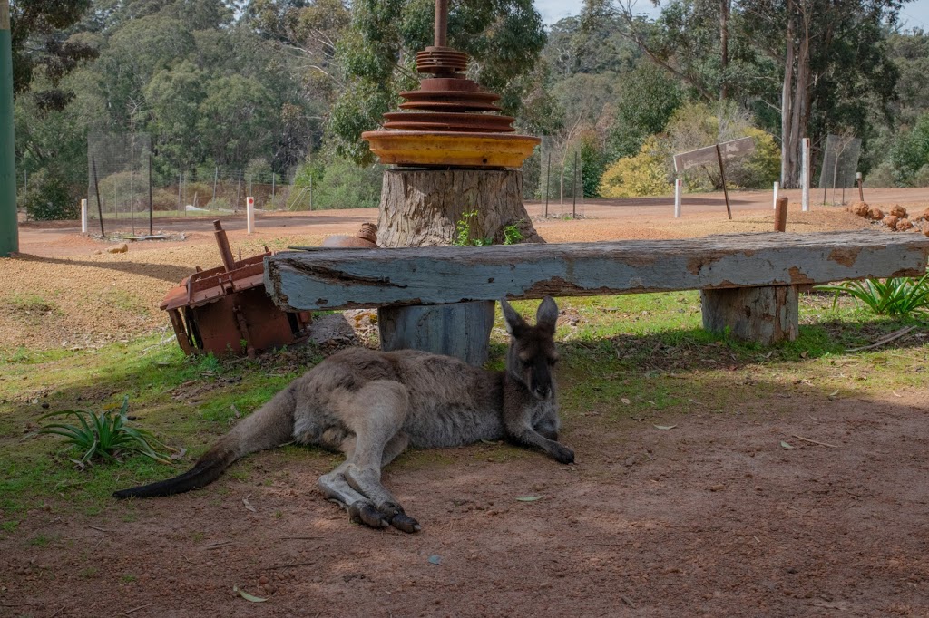 Donnelly River Village | Cnr Sears & Andrews Rds, Donnelly River WA 6258, Australia | Phone: (08) 9772 1244