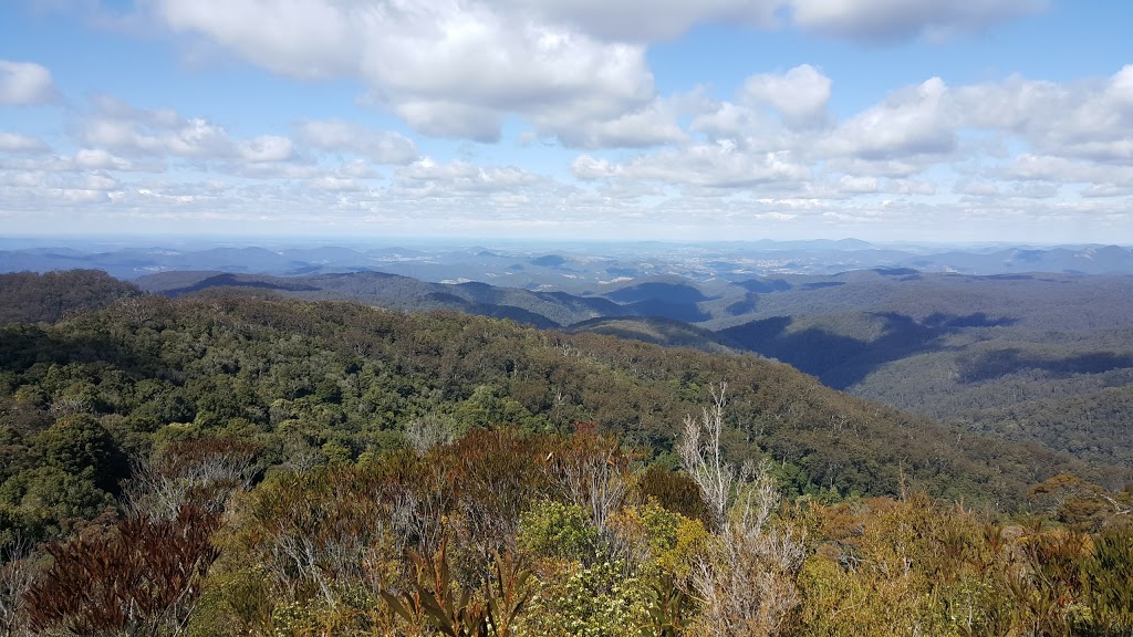 Tapin Tops National Park | Dingo Forest NSW 2429, Australia | Phone: (02) 6588 5555