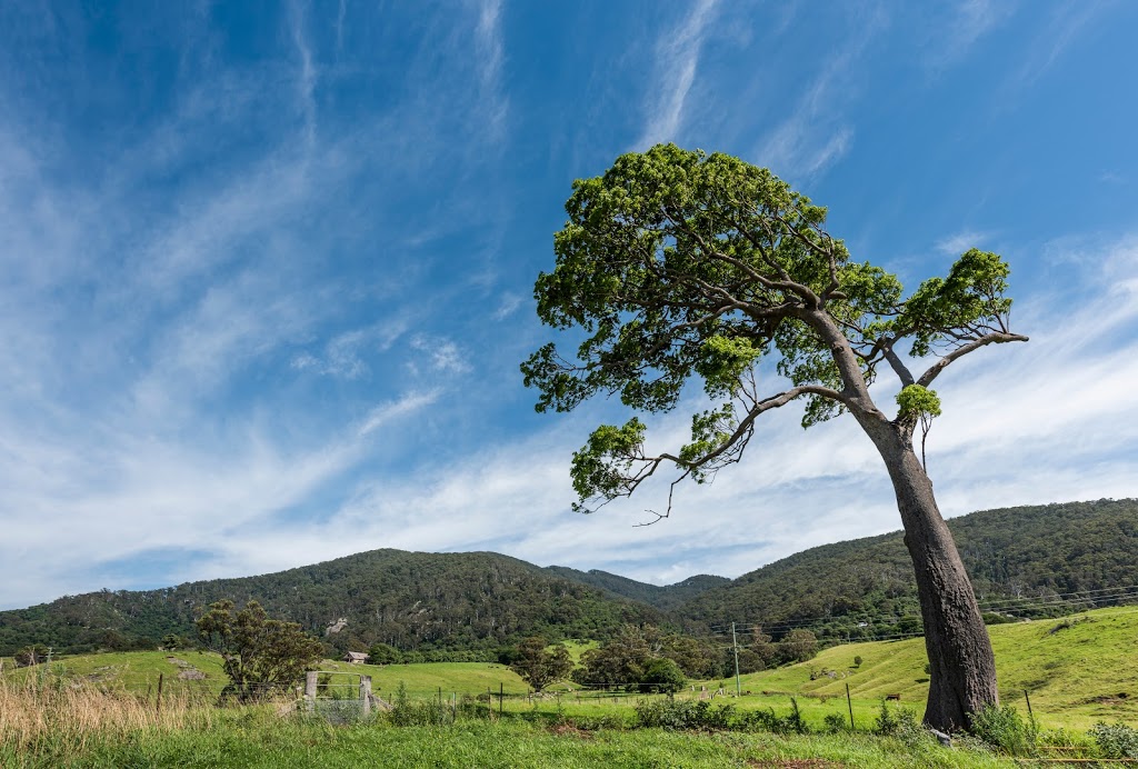 Mountain View Farm | lodging | 11 Mount Dromedary Trail, Tilba Tilba NSW 2546, Australia | 0423025686 OR +61 423 025 686