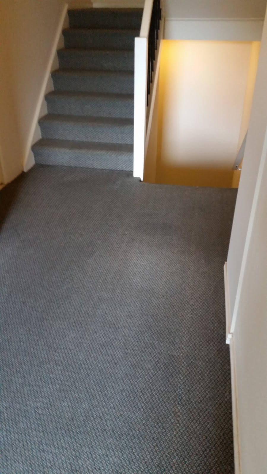 Melbourne carpet care | Dobell Pl, Doncaster East VIC 3109, Australia | Phone: 0431 300 279