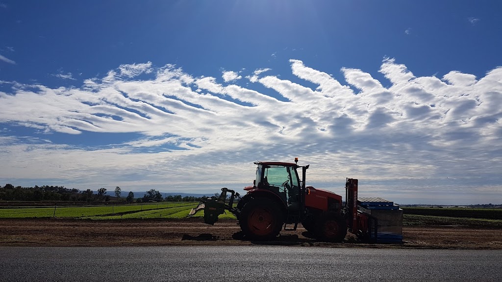 Tenthill Baptist Church | 979 Tenthill Creek Rd, Upper Tenthill QLD 4343, Australia | Phone: (07) 5462 7380