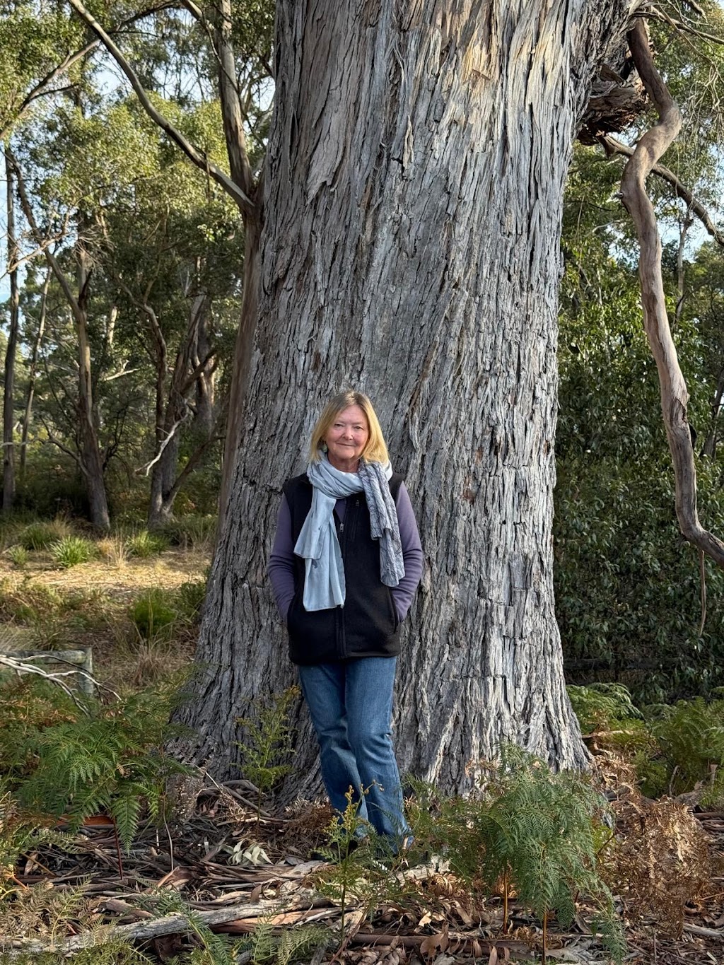 Debbie Wren Counselling | 1614 Nubeena Rd, Nubeena TAS 7184, Australia | Phone: 0485 527 740