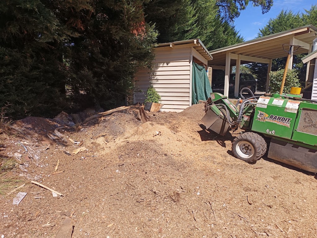 The Stump Grinder Man | Beaconsfield-Emerald Rd, Emerald VIC 3782, Australia | Phone: 0409 331 122