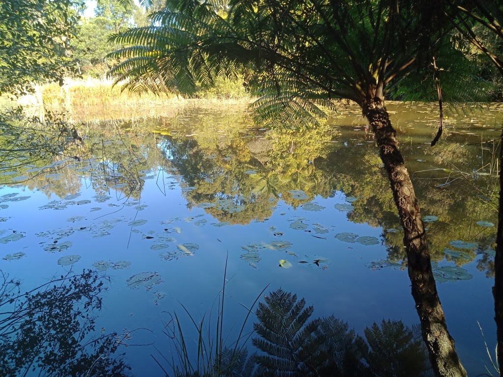 Lily Pond Reserve | park | Port Macquarie NSW 2444, Australia | 65818111 OR +61 65818111