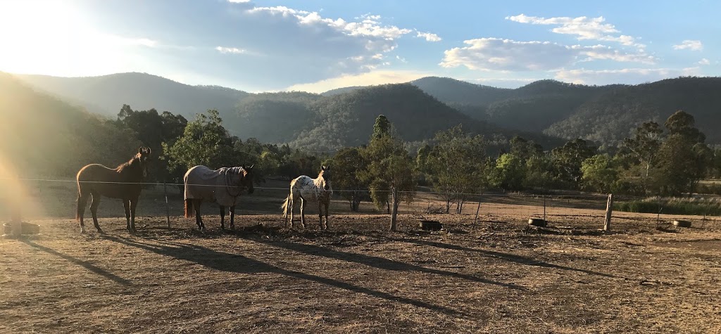 Wollemi Hills Horse Riding School |  | 245A The Inlet Rd, Bulga NSW 2330, Australia | 0435931022 OR +61 435 931 022