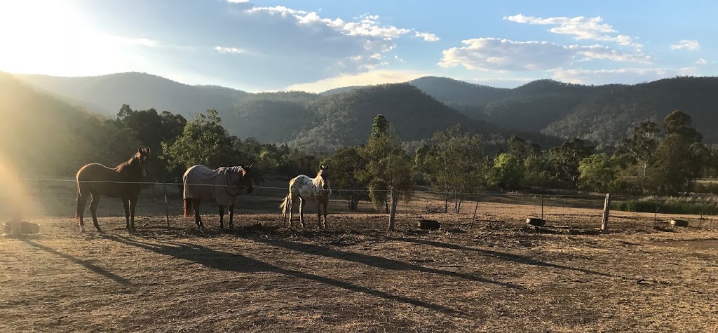 Wollemi Hills Horse Riding School | 245A The Inlet Rd, Bulga NSW 2330, Australia | Phone: 0435 931 022