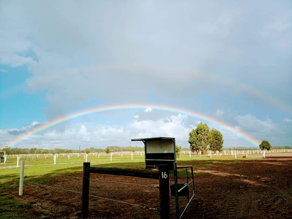 Bernburra Park Agistment Centre | 62 Lingdon Ln, Serpentine WA 6125, Australia | Phone: 0428 275 188