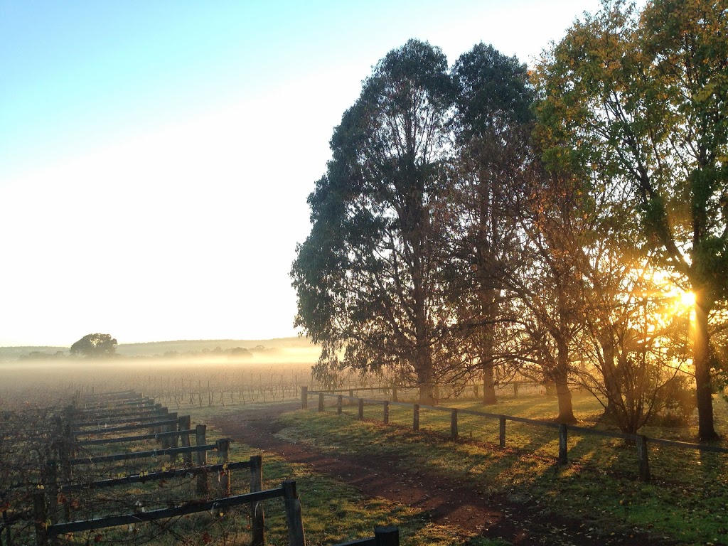 Toppers Mountain Wines | 13420 Guyra Rd, Tingha NSW 2369, Australia | Phone: 0411 880 580