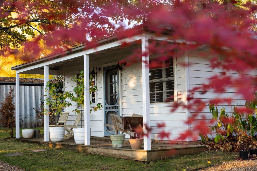 Peony Farm | 111 Myrtleford-Stanley Rd, Stanley VIC 3747, Australia | Phone: 0424 373 875